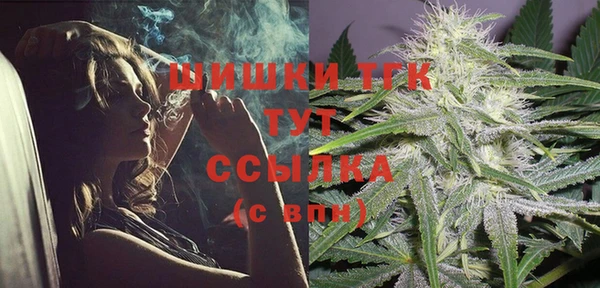 крисы Армянск