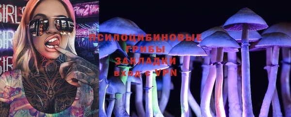 крисы Армянск