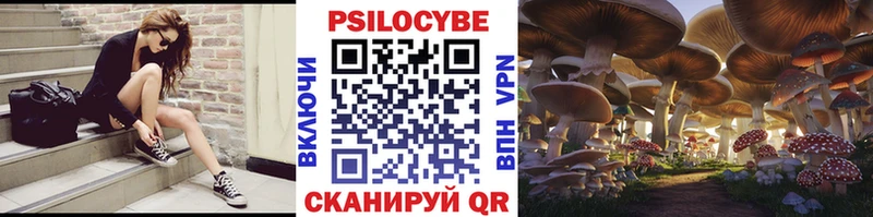 Псилоцибиновые грибы Cubensis  Менделеевск 